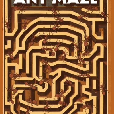 Ant Maze